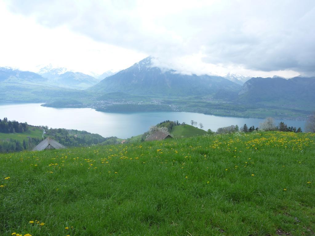Hotel Restaurant Schwert Thun Eksteriør bilde